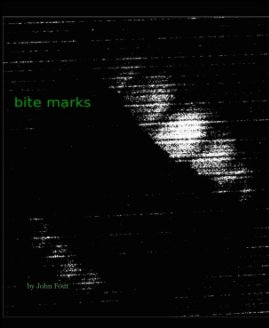 BITE MARKS book cover