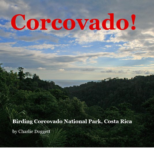 View Corcovado! by Charlie Doggett