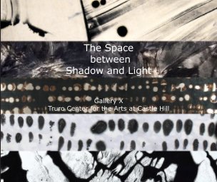 The Space Between Shadow and Light book cover
