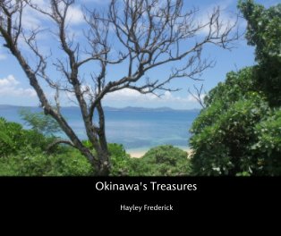 Okinawa's Treasures book cover