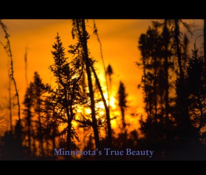 Minnesota's true beauty book cover