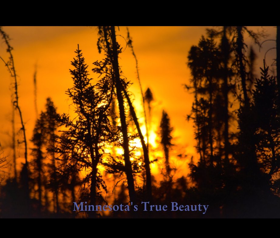 Visualizza Minnesota's true beauty di Brandon carlsness