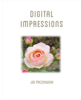 Digital Impressions book cover