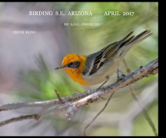 BIRDING S.E. ARIZONA APRIL 2017 book cover