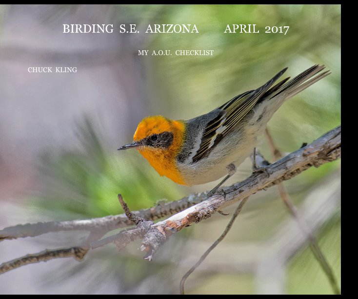 Ver BIRDING S.E. ARIZONA APRIL 2017 por CHUCK KLING