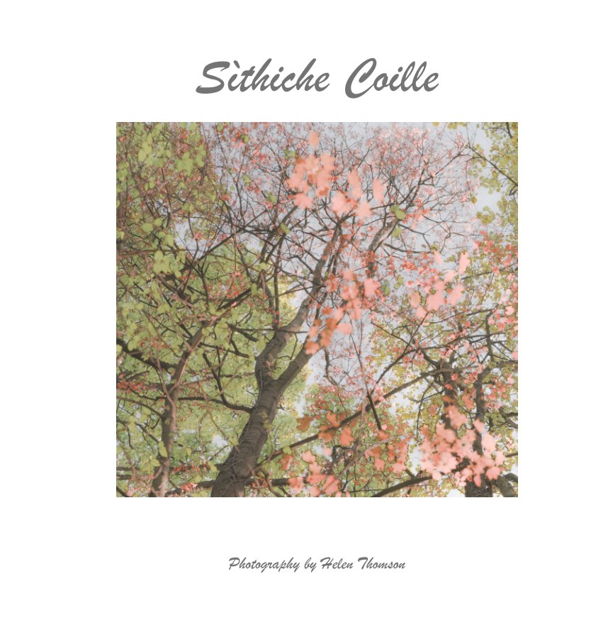 View Sithiche Coille by Helen Thomson