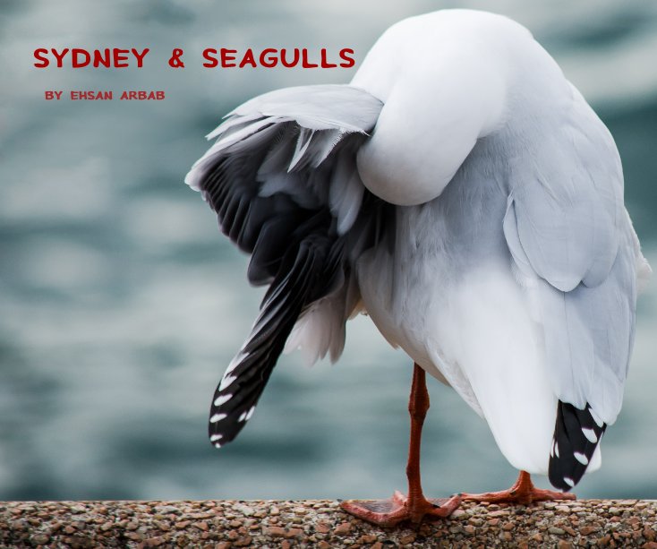 View Sydney & Seagulls by Ehsan Arbab