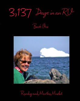 3,137 Days in an RV: Book One book cover