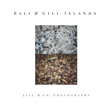 Bali and Gili Islands book cover