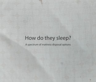 How do they sleep? book cover