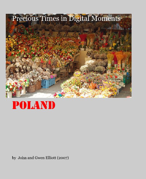 View Precious Times in Digital Moments by John and Gwen Elliott (2007)