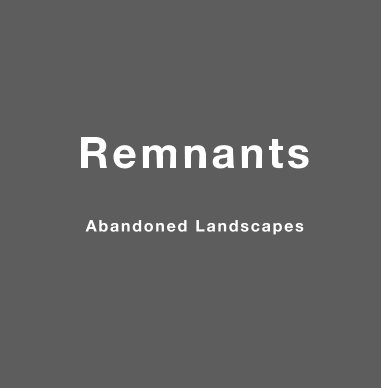 Remnants book cover