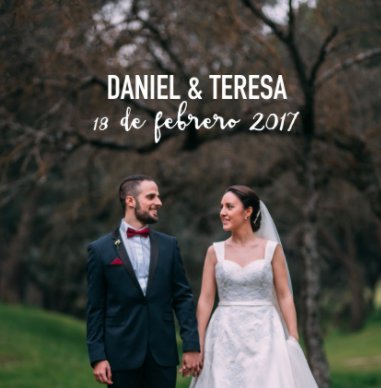 DANIEL Y TERESA book cover