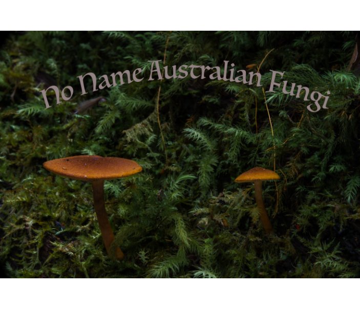 Australian Fungi nach Gordon B. Jalkemo anzeigen