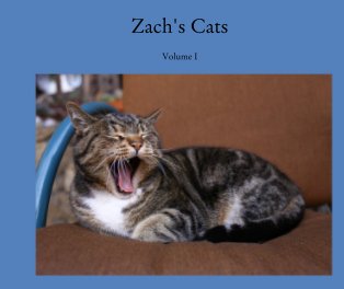 Zach's Cats book cover