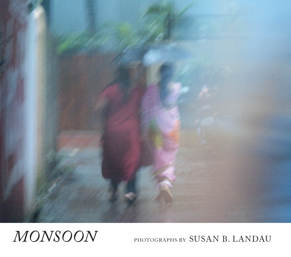 View Monsoon by Susan B. Landau