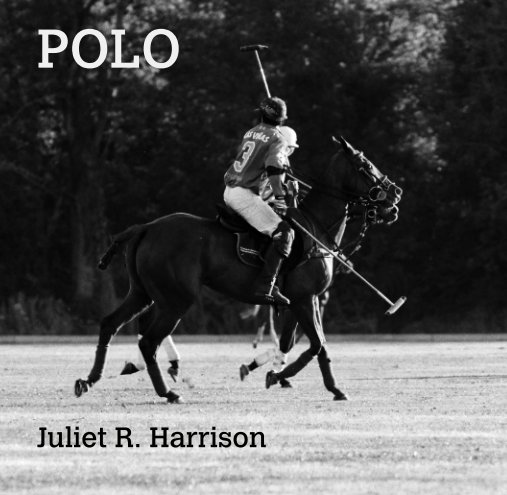 View Polo by Juliet R. Harrison