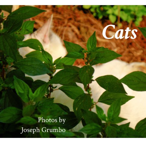 Visualizza Cats di Joseph Grumbo