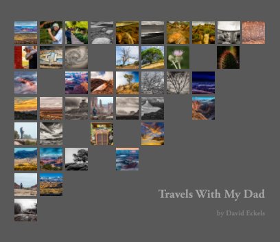 Travels With My Dad book cover