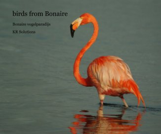 birds from Bonaire book cover