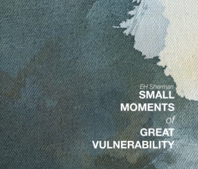 Small Moments of Great Vulnerability book cover