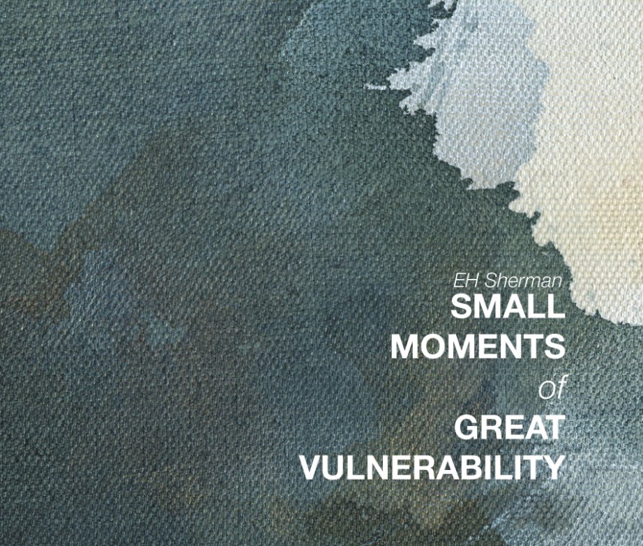 View Small Moments of Great Vulnerability by EH Sherman