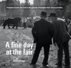 A fine day at the fair book cover