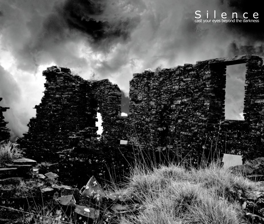 View Silence by Christopher Antony Whalen
