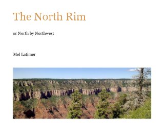 The North Rim book cover