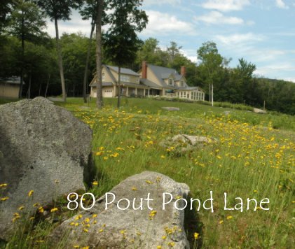 80 Pout Pond Lane book cover