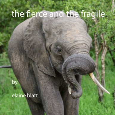 the fierce and the fragile book cover