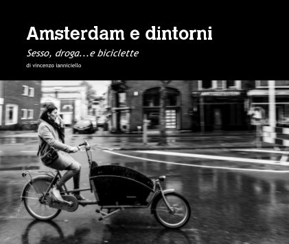 Amsterdam e dintorni book cover