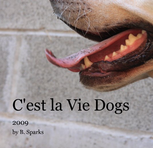 View C'est la Vie Dogs by B. Sparks