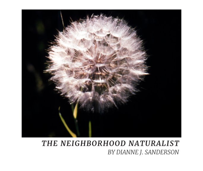 View The Neighborhood Naturalist by Dianne J. Sanderson