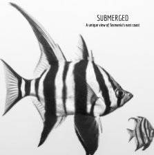 SUBMERGED book cover