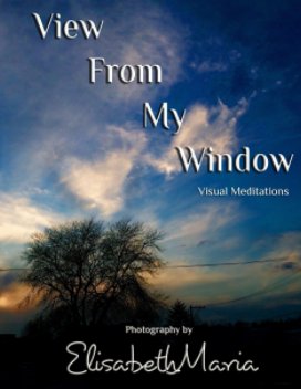 View From My Window book cover