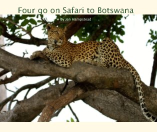 Four go on Safari to Botswana book cover