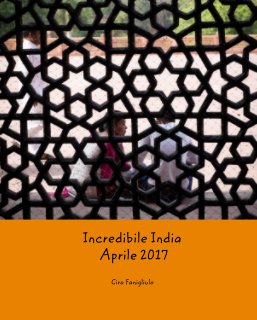 Incredibile India  Aprile 2017 book cover