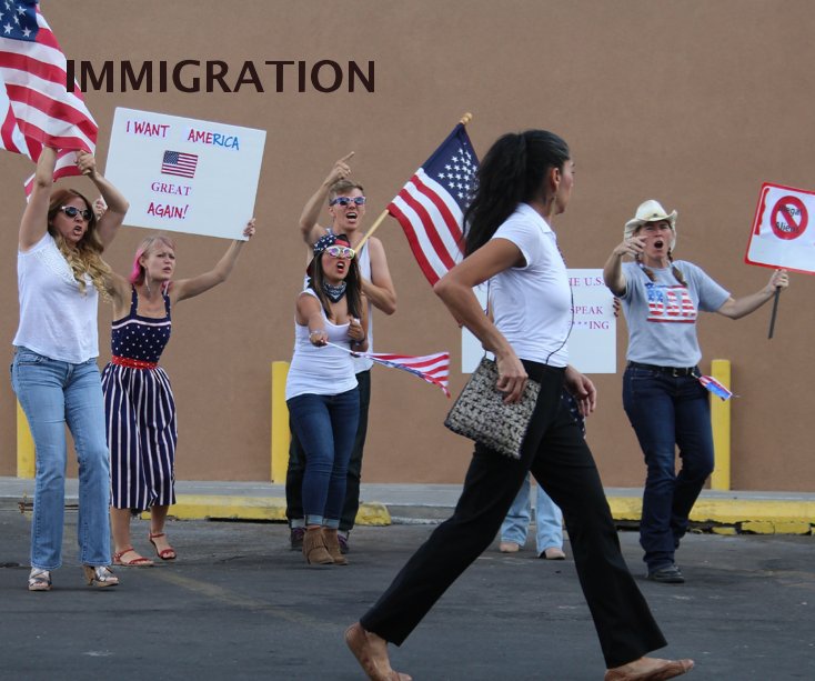 View IMMIGRATION by J. Michael Skaggs