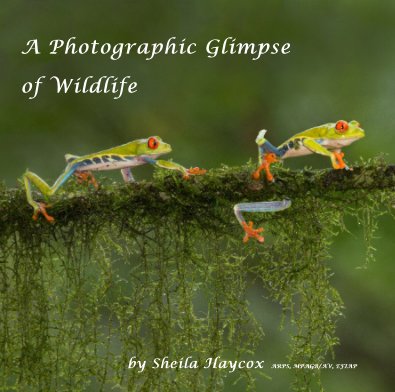 A Photographic Glimpse of Wildlife book cover