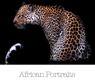african portraits book cover
