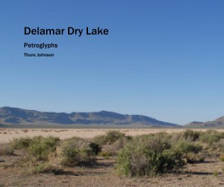 Delamar Dry Lake book cover