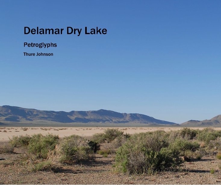 View Delamar Dry Lake by Thure Johnson
