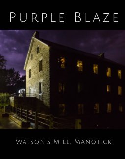 Purple Blaze book cover