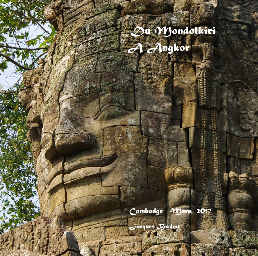 View Du Mondolkiri A Angkor by Jacques Bardou