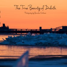 The True Beauty of Duluth book cover