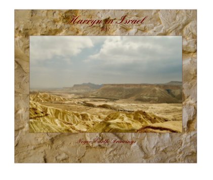 Harryn in Israel . 2017 (Deluxe Edition) book cover