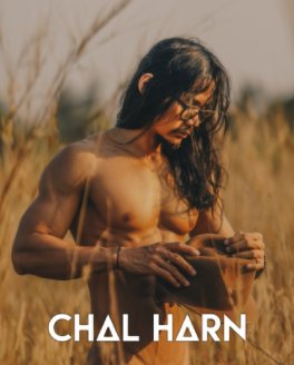 Chal Harn 2 book cover