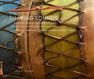 Shaping Sounds: Guillermo Martinez book cover