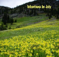 Montana In July book cover